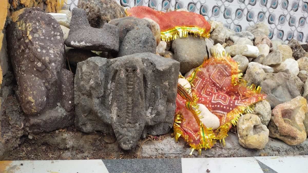 महाभारत काल से जुड़े नागदा यज्ञ टेकरी का रहस्य, चंबल नदी के किनारे छिपा है इतिहास