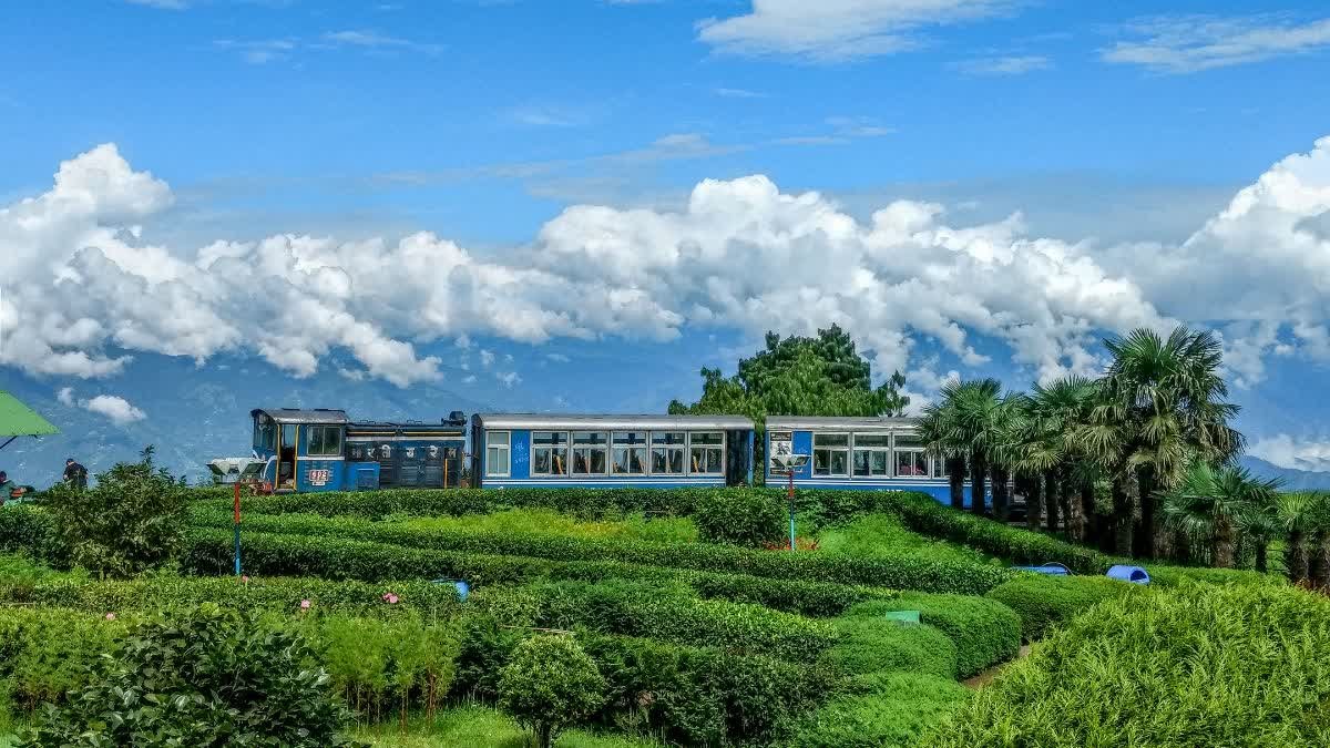 पातालपानी-कालाकुंड के बीच जल्द दौड़ेगी हेरिटेज ट्रेन, विस्टाडोम कोच के साथ होगी जंगल सफारी
