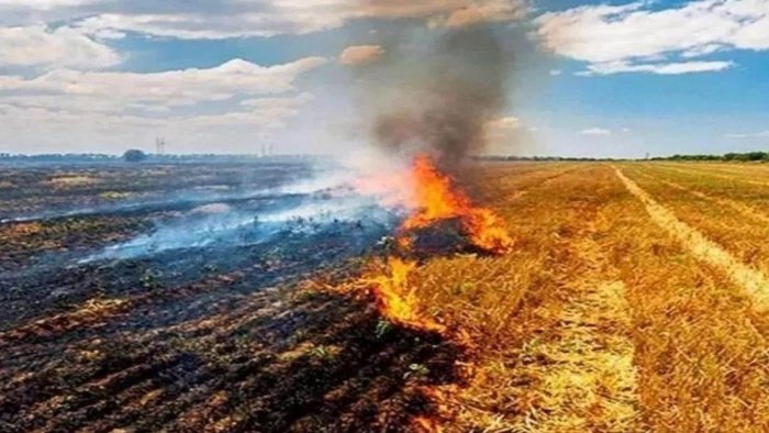 मध्य प्रदेश में पराली जलाने के मामलों में भारी उछाल, अप्रैल-मई 2026 में देश में सबसे ज्यादा 36,000 से अधिक घटनाएं दर्ज