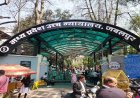 पेड़ों की कटाई और पर्यावरण असंतुलन पर HC सख्त, नीमच के याचिकाकर्ता को मिली अनोखी सजा