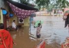 सतना में लगातार बारिश से बाढ़ जैसे हालात, उफान पर नदियां और कई इलाकों में भरा पानी