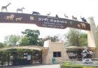 देश के बाकी चिड़ियाघरों से क्यों अलग है इंदौर जू? 169 प्रजातियों के वन्य जीवों का बना बड़ा ब्रीडिंग सेंटर