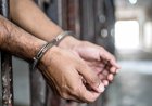 हत्या के मामले में 10 साल जेल काटने वाला युवक दोषमुक्त, हाईकोर्ट ने दिए तुरंत रिहाई के आदेश