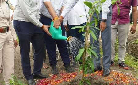 सिंहस्थ से पहले उज्जैन का पंचकोशी मार्ग होगा हरा-भरा, श्रद्धालुओं को मिलेगी छांव और राहत