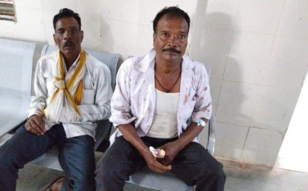 नरसिंहपुर में तेज रफ्तार कार ने बाइक को मारी जोरदार टक्कर, महिला की मौत और दो घायल