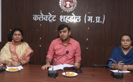 कार्य में लापरवाही बरतने वाले पटवारी पर गिरी गाज,कलेक्टर पार्थ जायसवाल ने किया सस्पेंड