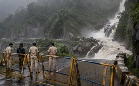 मध्य प्रदेश में मूसलाधार बारिश के चलते प्रशासन सख्त, वॉटरफॉल्स और बांधों पर रील-सेल्फी लेने पर रोक