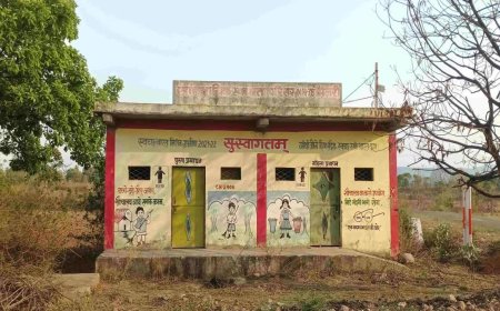 उमरिया में 12 करोड़ की लागत से बने सामुदायिक शौचालय बने खंडहर, बदहाली पर प्रशासन की चुप्पी