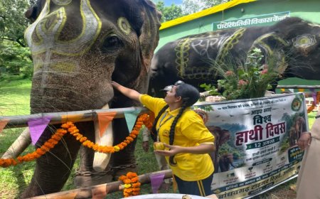 विश्व हाथी दिवस पर उमरिया में हाथियों का विशेष आयोजन, राम और सूर्या बने बच्चों के आकर्षण का केंद्र