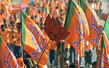 भाजपा की रणनीति फेल, छह में से चार मंडलों में कांग्रेस की बढ़त ने खोली पोल