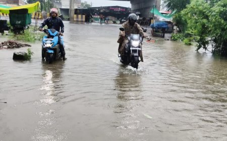 मध्य प्रदेश के 17 जिलों में भारी बारिश और फ्लैश फ्लड का अलर्ट, 24 घंटे में 4 इंच तक पानी गिरने का अनुमान