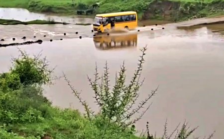 राजगढ़ हादसे के बाद भी नहीं सुधरे हालात, श्योपुर में पानी के तेज बहाव के बीच निकाले गए स्कूल वाहन