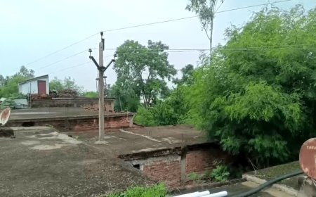 खौफ के साये में जीने को मजबूर ग्रामीण, छत से गुजर रही हाईटेंशन लाइन से मंडरा रहा बड़ा खतरा