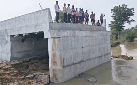 छतरपुर में करोड़ों की लागत से बना पुल पहली ही बारिश में बहा, आधा दर्जन गांवों का मुख्यालय से संपर्क कटा