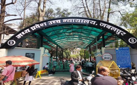 पेड़ों की कटाई और पर्यावरण असंतुलन पर HC सख्त, नीमच के याचिकाकर्ता को मिली अनोखी सजा