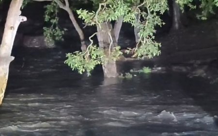 सागर में आबचंद गुफा के पास उफनती नदी के टापू पर फंसे 9 बच्चे सुरक्षित रेस्क्यू, प्रशासन की बड़ी सफलता