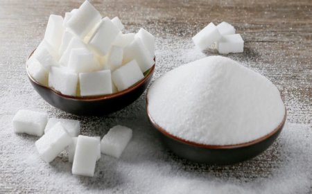बुरहानपुर सांसद ज्ञानेश्वर पाटिल का बयान, त्योहारी सीजन में सस्ती शक्कर उपलब्ध कराएगी सरकार