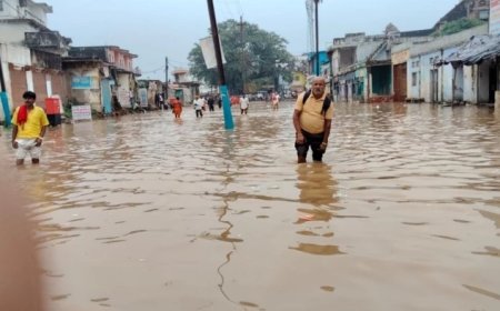 सतना में निचले इलाकों के घरों में घुसा पानी, चित्रकूट में मंदाकिनी नदी के रौद्र रूप से रामघाट डूबा