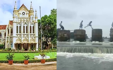 ऊफनती बेतवा नदी पार कर स्कूल जाते बच्चों का वीडियो वायरल होने पर हाईकोर्ट सख्त, सरकार को नोटिस
