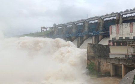 उमरिया में जोहिला बांध का जलस्तर बढ़ने पर खोले गए 5 गेट, निचली बस्तियों में अलर्ट जारी