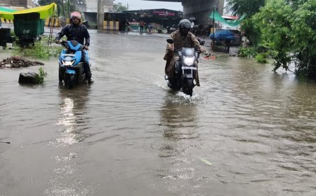 मालवा-निमाड़ में अति भारी बारिश की चेतावनी, राजगढ़ में 9 इंच से ज्यादा पानी; प्रशासन अलर्ट मोड पर