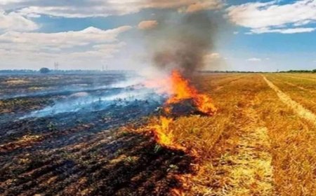 मध्य प्रदेश में पराली जलाने के मामलों में भारी उछाल, अप्रैल-मई 2026 में देश में सबसे ज्यादा 36,000 से अधिक घटनाएं दर्ज