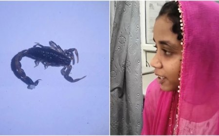 आदिवासी बालिका के कान में घुसा जिंदा बिच्छू, एक घंटे तक तड़पती रही किशोरी, डॉक्टर ने ऐसे बचाई जान
