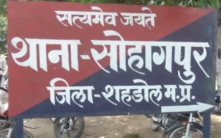जमीन के काम के लिए पहुंची युवती से पटवारी ने की अश्लील हरकत, कलेक्टर से की गई सबूत के साथ शिकायत