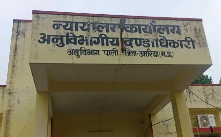 पाली तहसील में अनुपस्थित पटवारियों और कर्मचारियों पर बड़ी कार्रवाई, एसडीएम मीनाक्षी बंजारे ने जारी किया आदेश