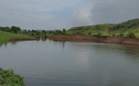 इच्छापुर गांव में अमृत सरोवर से बदली किसानों की तकदीर, 500 हेक्टेयर भूमि को मिल रहा सिंचित पानी
