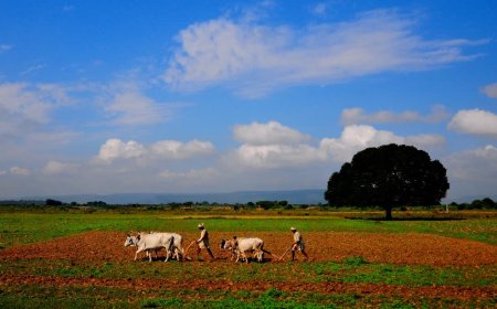 मालवा में कम बारिश और गहराते जल संकट पर पर्यावरणविद् पद्मभूषण डॉ. अनिल प्रकाश जोशी की चेतावनी