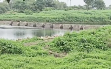 धार में जहरीले केमिकल से काली पड़ी चंबल नदी, पीथमपुर की फैक्ट्रियों पर उठे गंभीर सवाल