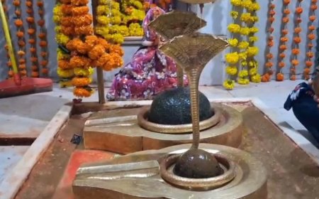 रियासत कालीन सिद्धनाथ मंदिर में अन्न से ढके जाते हैं शिवलिंग, जानिए इस चमत्कारी जगह की मान्यता