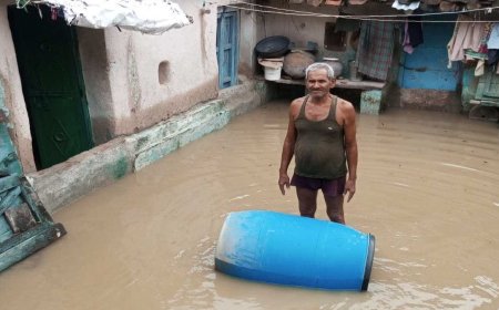 पन्ना में एक घंटे की मूसलाधार बारिश से बाढ़ जैसे हालात, घरों में घुसा पानी, ग्रामीणों का जीवन अस्त-व्यस्त