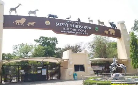 देश के बाकी चिड़ियाघरों से क्यों अलग है इंदौर जू? 169 प्रजातियों के वन्य जीवों का बना बड़ा ब्रीडिंग सेंटर
