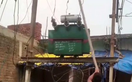 शहडोल में करंट लगने से बैल की मौत, आक्रोशित ग्रामीणों ने ट्रांसफार्मर में की तोड़फोड़