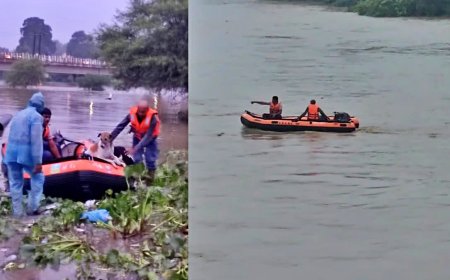 उफनती नदी के बीच तीन घंटे तक चली मशक्कत, जान बचाने के लिए मंदिर की सीढ़ियों पर बैठे थे डॉग्स
