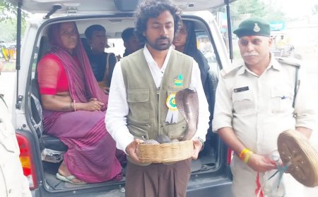 नागपंचमी पर वन विभाग की बड़ी कार्रवाई, सपेरों के कब्जे से 5 फीट के कोबरा समेत 8 खतरनाक सांप बरामद