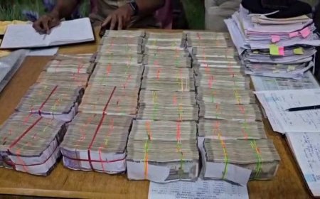 नामली पुलिस ने कार से पकड़े 73 लाख रुपए, यूरिया खाद के बोरों में ठूंसकर ले जाए जा रहे थे नोट