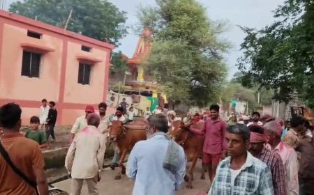 बांडी हरणगांव में पालतू बकरे को दी गई नम आंखों से विदाई, गांव की आस्था से जुड़ा था 'मालण बाबा'