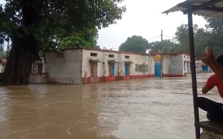 मूसलाधार बारिश से बिगड़े हालात, कलेक्टर अर्पित वर्मा ने दिए राहत कार्यों के निर्देश