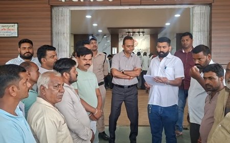 नीमच में जंगली सुअरों और नीलगायों का आतंक, मक्का और पपीते की फसल चौपट, किसान परेशान