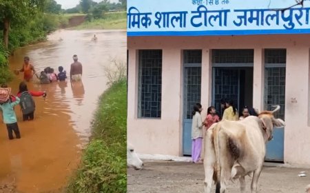 सिंगरौली में उफनती नदी पार कर स्कूल जाने को मजबूर बच्चे, भोपाल के सरकारी स्कूल में गंदगी और बदहाली