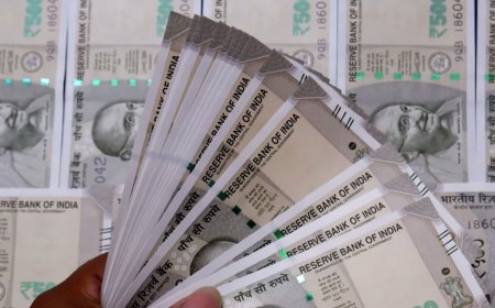 पैसा डबल करने के नाम पर 492 करोड़ की ठगी, 17 राज्यों में फैला था फर्जी कंपनियों का नेटवर्क