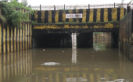 क्या पूरा हो पाएगा इस बार बारिश का कोटा? जानें पूर्वी और पश्चिमी मध्यप्रदेश के ताजा आंकड़े