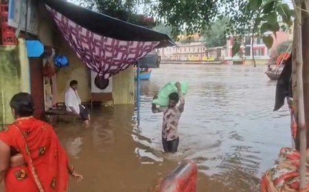 सतना में लगातार बारिश से बाढ़ जैसे हालात, उफान पर नदियां और कई इलाकों में भरा पानी