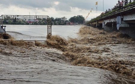 मंडला में मूसलाधार बारिश से उफान पर नर्मदा नदी, कान्हा नेशनल पार्क और अमरकंटक का संपर्क टूटा