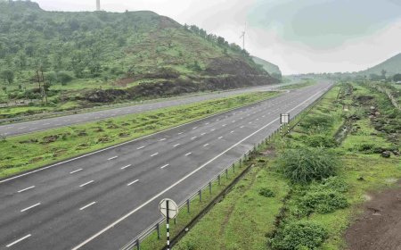रतलाम में एक्सप्रेस-वे बना पिकनिक स्पॉट, बीच सड़क रील और फोटो शूट कराते दिखे लोग