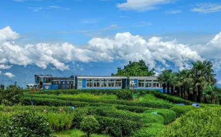 पातालपानी-कालाकुंड के बीच जल्द दौड़ेगी हेरिटेज ट्रेन, विस्टाडोम कोच के साथ होगी जंगल सफारी