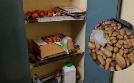 गौर क्रीड़ा परिसर के आदिवासी छात्रों को नहीं मिल रहा मेन्यू के अनुसार भोजन, दूध-अंडे और फल गायब